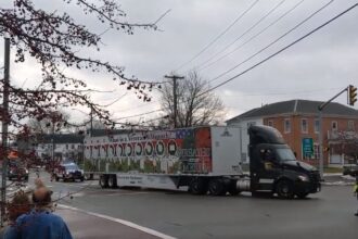 Flatbed Trailers